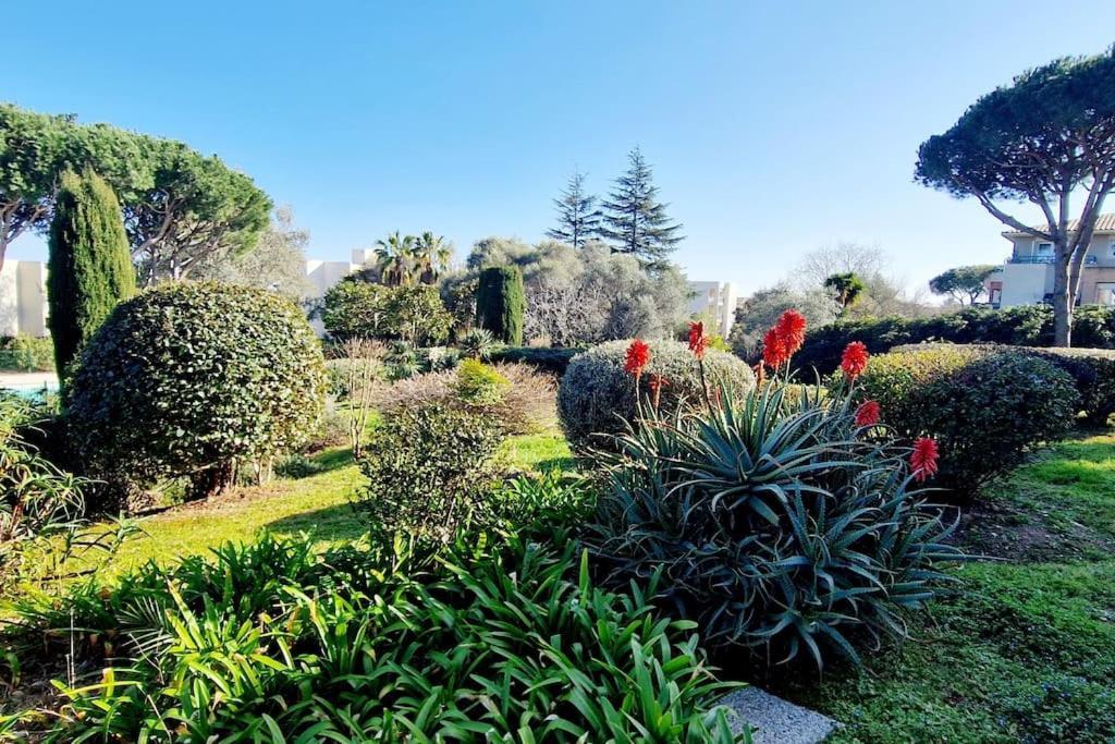 Studio Antibes Avec Piscine Buitenkant foto